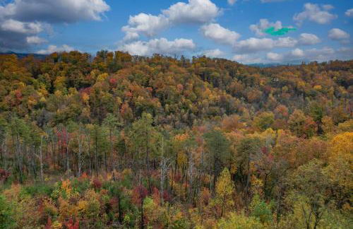 The Overlook - '21 Cabin - Gorgeous Unobstructed Views - Fire Pit Table - GameRm - HotTub - Xbox - Lots of Bears - Foto 64