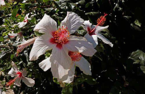 Glaros Home - Foto 32