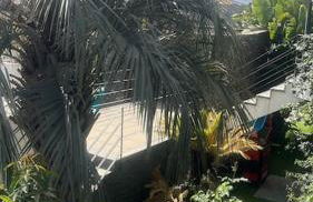 Jardín Secreto de Tabaiba - Foto 4