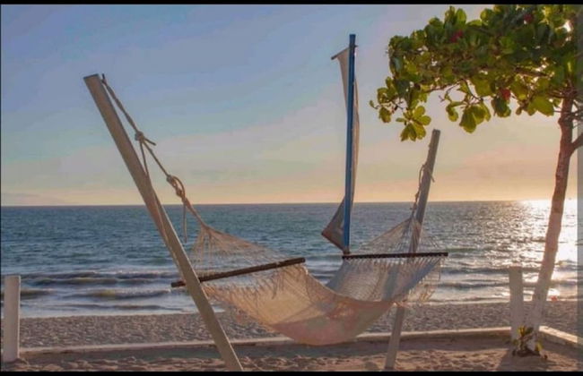 Aria Ocean 159 Flamingos - Foto 12