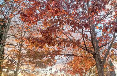 Agriturismo Cocò - Foto 5