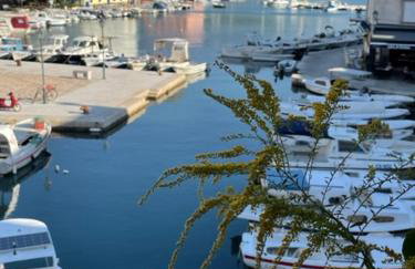 Apartment Concetta Cres - Foto 28