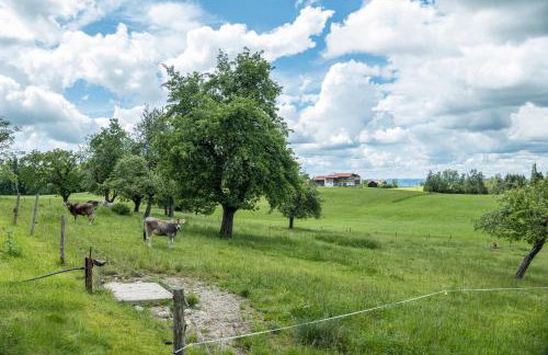 Haus Moritz - Foto 26