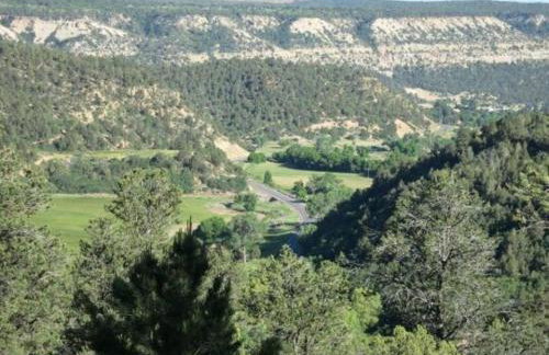 Our Little Patch of Heaven Cottage East Zion - Photo 20