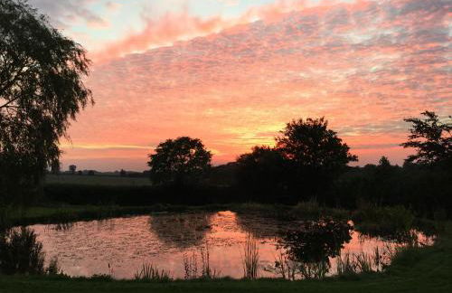 The Owl House - Foto 28