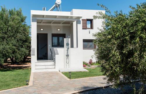 Emmy Villa - Photo 6