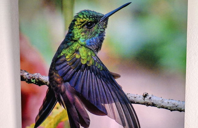 OSIMIRI apartamentos - Photo 8