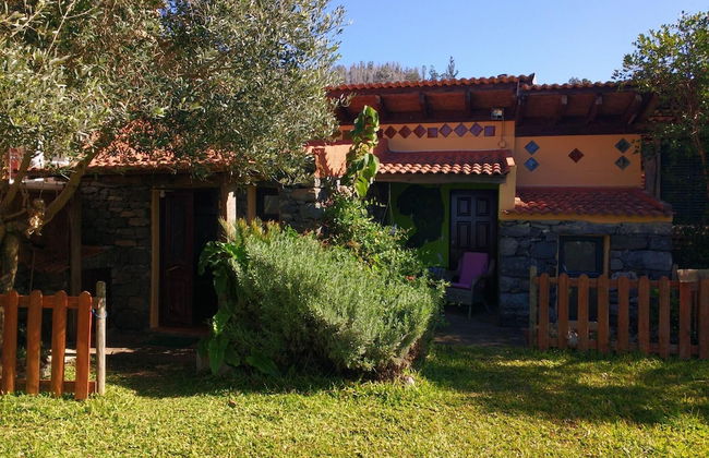 Casas Maravilha - Rvore by Homie - Foto 2