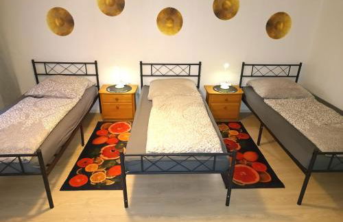 OCTOPUS-1 Monteurwohnung in Zentrum! 2-zkb in 1og - Foto 14