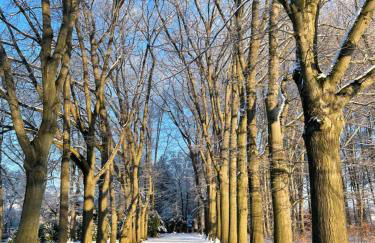 An der Bürgeheide - Foto 6