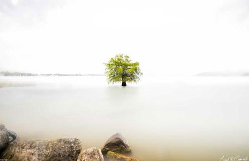 San Carlo Appartamenti vacanze - Foto 45