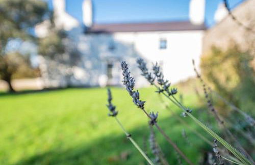 Georgian Country House -Panoramic Views -Sleeps 12 - Photo 50