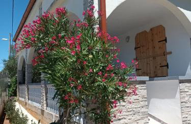 Apartman VTS - Photo 25