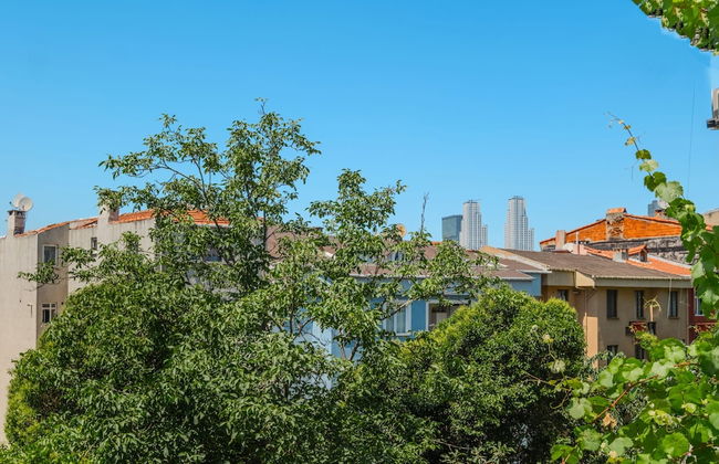 House w Garden 10 min to City s in Beyoglu - Photo 25