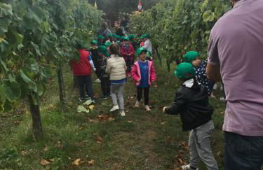 Agriturismo a casa di Susanna - Foto 37