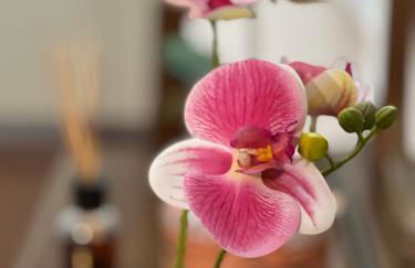 Orio easy relax 24h Airport 3 - a few steps - Foto 1