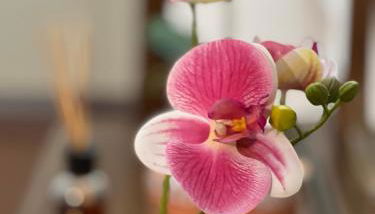 Orio easy relax 24h Airport 3 - a few steps - Foto 1