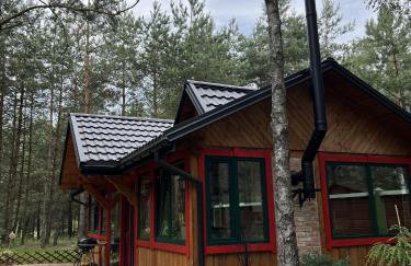 Dwór nad Bugiem w Kamieńczyku - 45 min od Warszawy - Foto 29