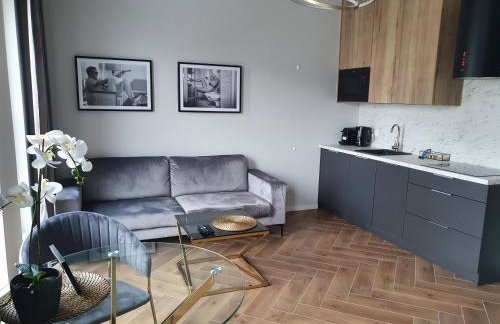 SOKOLSKA 30 TOWERS apartments -PARKING- NEW- LUX- SAUNA- GYM- and GOOD VIEW - Foto 7