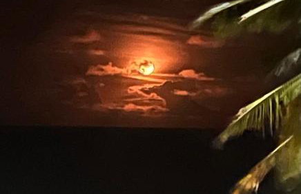 Muriú RN - Savage Beach House - Foto 39