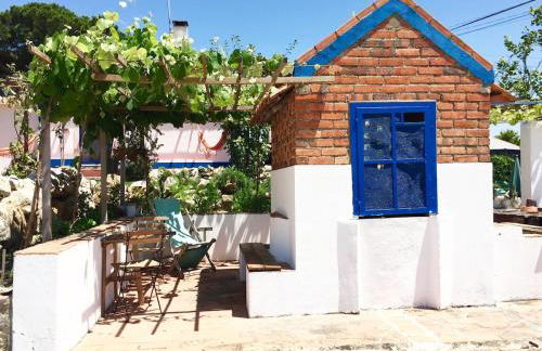 Cottage with Pool,Gourmet BBQ,Wood Oven&Games Barn - Foto 13