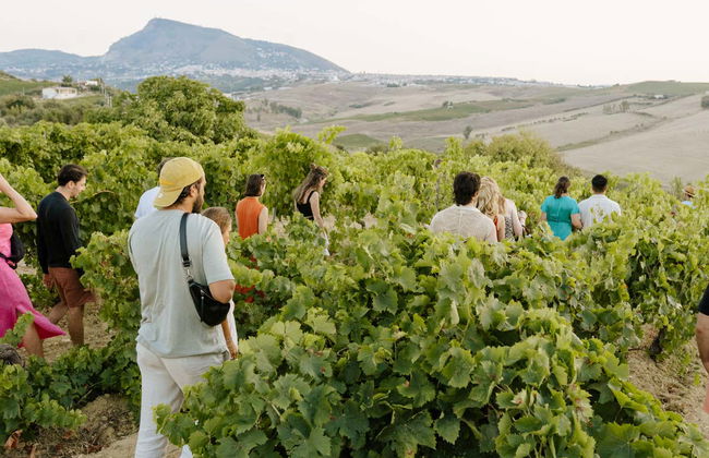 Visite d'un vignoble + Dégustation de produits typiques - Photo 2
