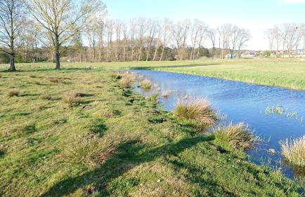 Agroturystyka u Janeckich - Foto 16