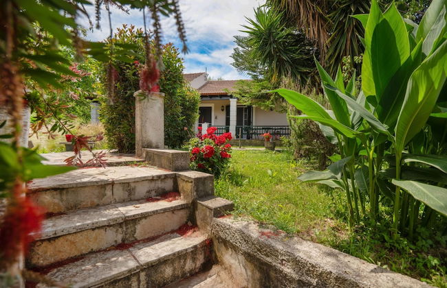 Villa Serenita in Agios Georgios - Foto 10