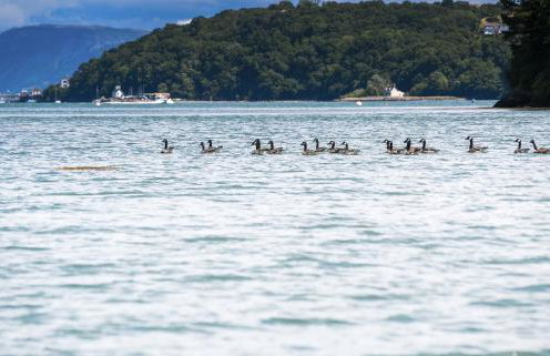 The Moorings - Photo 78