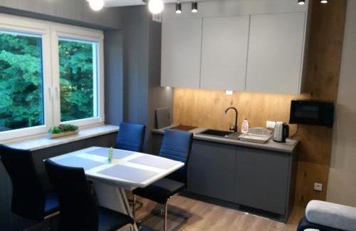 Kurort Kozubnik Apartament 33 Wellness &SPA - Foto 4