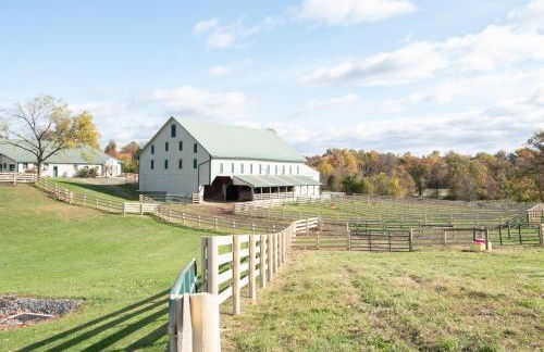 Cozy Cow Homestead with pool! - Foto 41