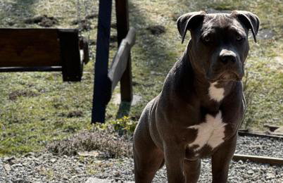 Bieszczady ClaraArt - Foto 6