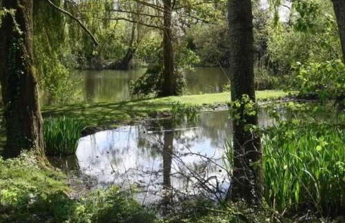 Norfolk Cottage in Seaside village private parking - Foto 27