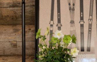 MOUNTAIN LODGE OBERJOCH - Allgäu - Foto 54