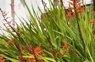 Monte da Rocha-Mãe - Foto 7