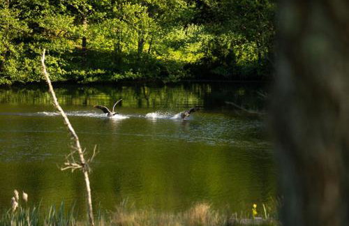 H Oxencombe Farm House - Foto 12