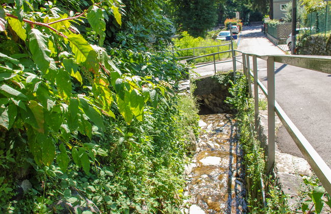 Simona Fontile 22 - Foto 19