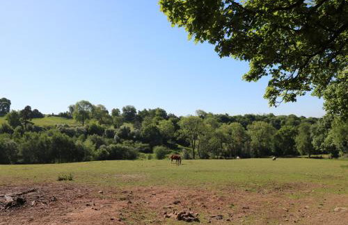 The White Cloud Bus - Foto 23