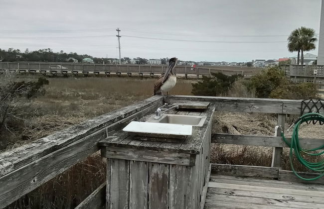 Seawatch Inn at the Landing - Foto 74