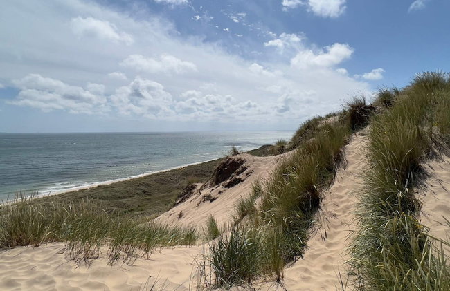 5 Star Holiday Home in Skagen - Foto 14