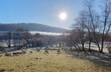 Ferienwohnung zum Märchenwald - Foto 41