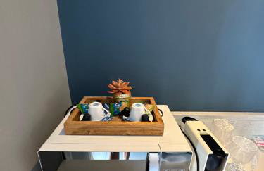 Flat Samba Bossa Nova - Foto 19