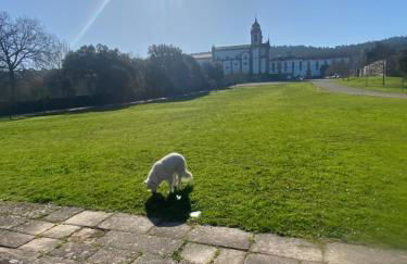 Quinta do Senhor - Foto 47