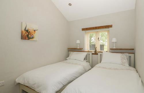 Golson Stable - Foto 16