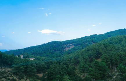 GREDOS RURALRUT cerca del CASTAÑAR de El Tiemblo, Reserva Natural VALLE DE IRUELAS, alojamiento acogedor con cabina hidromasaje, chimenea eléctrica, calefacción, wifi, cocina - Photo 68