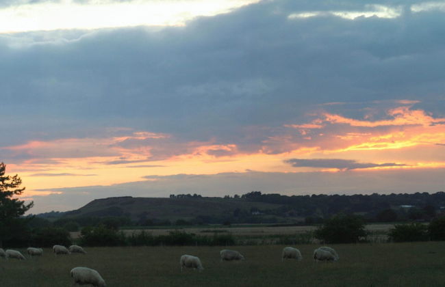 Cottage in Brookland Near Romney Marsh - Photo 13