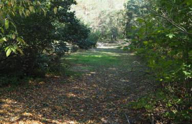 Emanuel - Cute Upstairs Apt AC Great Location - Foto 11