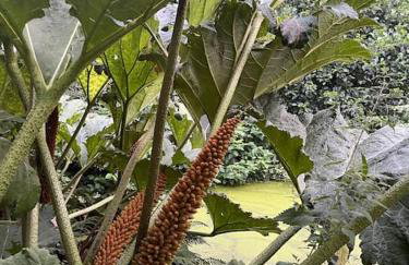 Crannog House - Foto 8