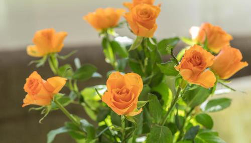 Ferienwohnung Schürer - Foto 3