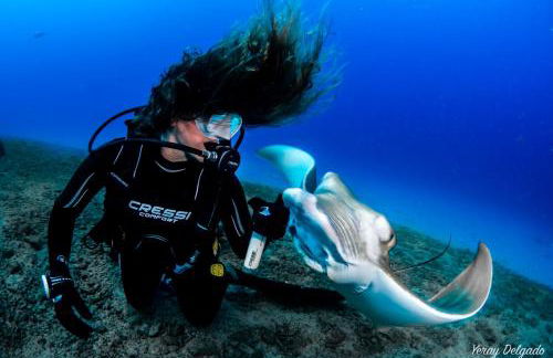 Mundo Beach House, Playa San Marcos, Tenerife - Foto 31